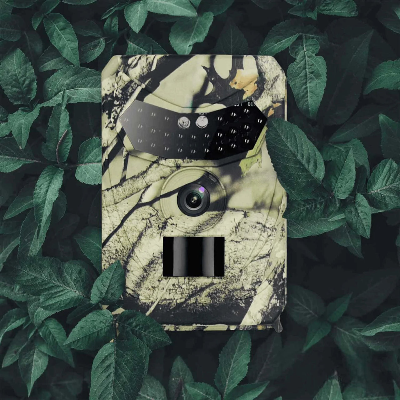 Wildlife Camera – Premium Model
