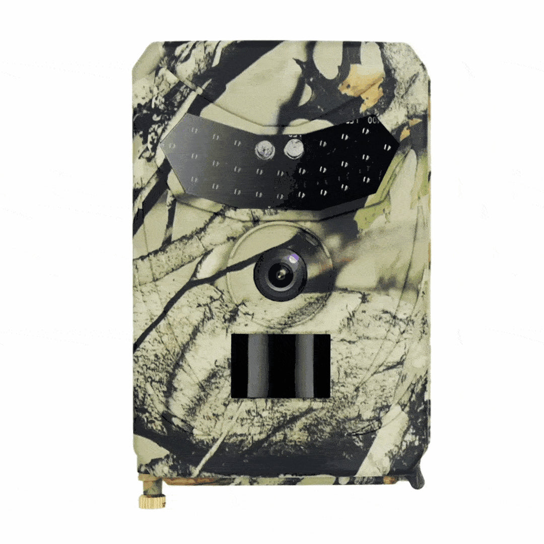 Wildlife Camera – Premium Model