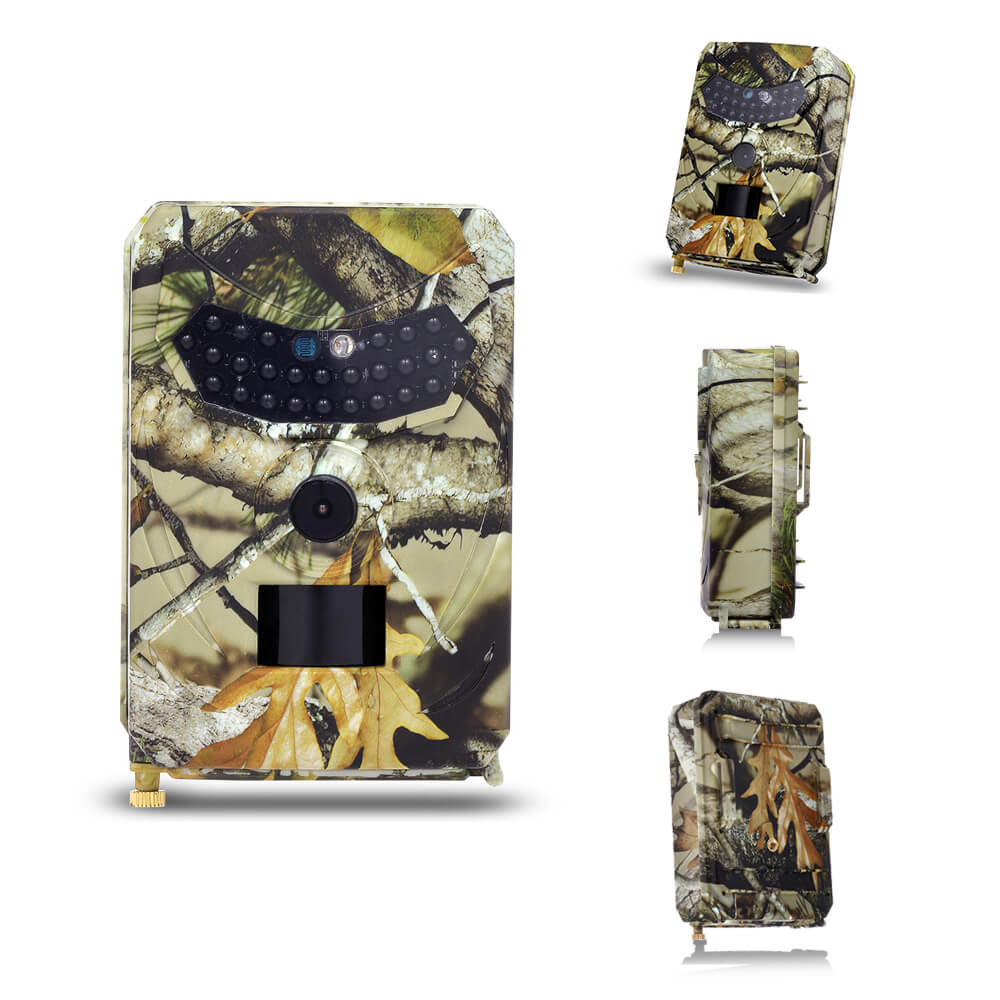 Wildlife Camera – Premium Model